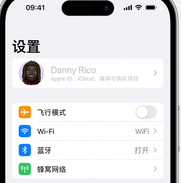 开化appleID维修服务iPhone设置中Apple ID显示为灰色无法使用 