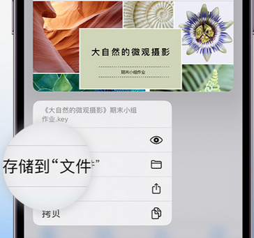 开化apple维修中心分享iPhone文件应用中存储和找到下载文件