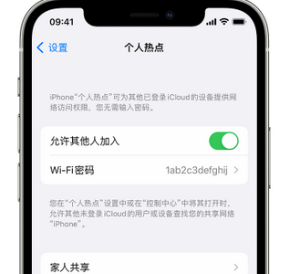 开化apple服务站点分享iPhone上个人热点丢失了怎么办 