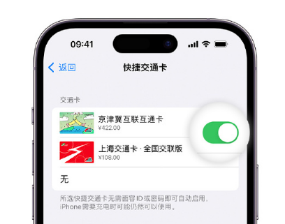 开化apple维修点分享iPhone上更换Apple Pay快捷交通卡手绘卡面 