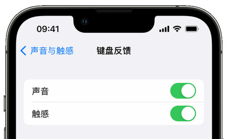 开化苹果手机维修分享iPhone 14触感键盘使用方法 