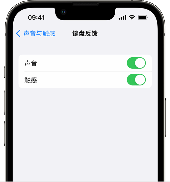 开化苹果14维修店分享如何在 iPhone 14 机型中使用触感键盘 