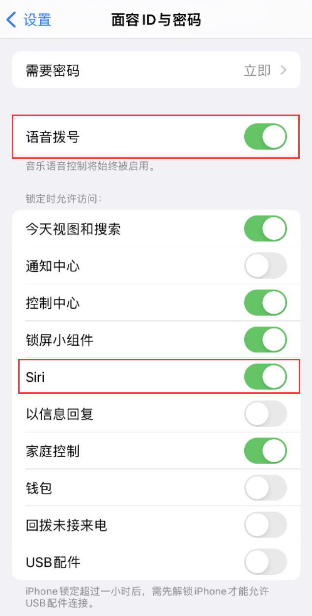 开化苹果维修网点分享不解锁 iPhone 的情况下通过 Siri 拨打电话的方法 