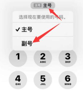 开化苹果14维修店分享iPhone 14 Pro Max使用副卡打电话的方法 