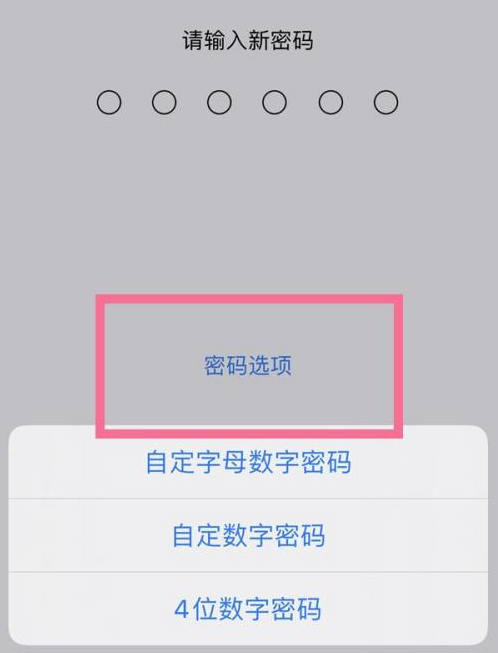 开化苹果14维修分享iPhone 14plus设置密码的方法 