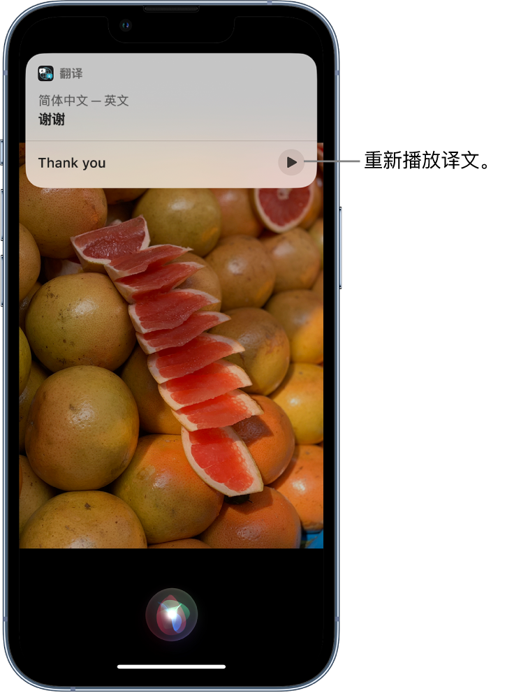 开化苹果14维修分享 iPhone 14 机型中使用 Siri：了解 Siri 能帮你做什么 