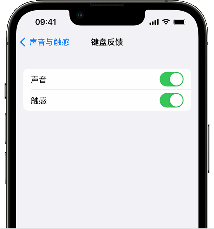 开化苹果14维修分享iPhone 14 系列机型如何开启键盘声音或触感反馈 