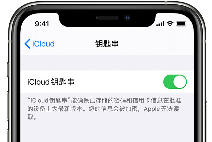 开化苹果手机维修分享在 iPhone 上开启 iCloud 钥匙串之后会储存哪些信息 