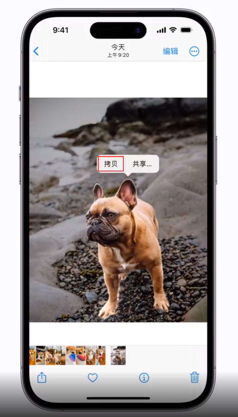 开化 苹果手机维修分享iOS 16 “照片”应用更新内容与改进汇总 