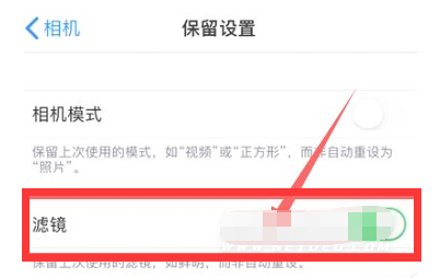 开化苹果13维修分享iPhone13拍照有绿点是怎么回事 