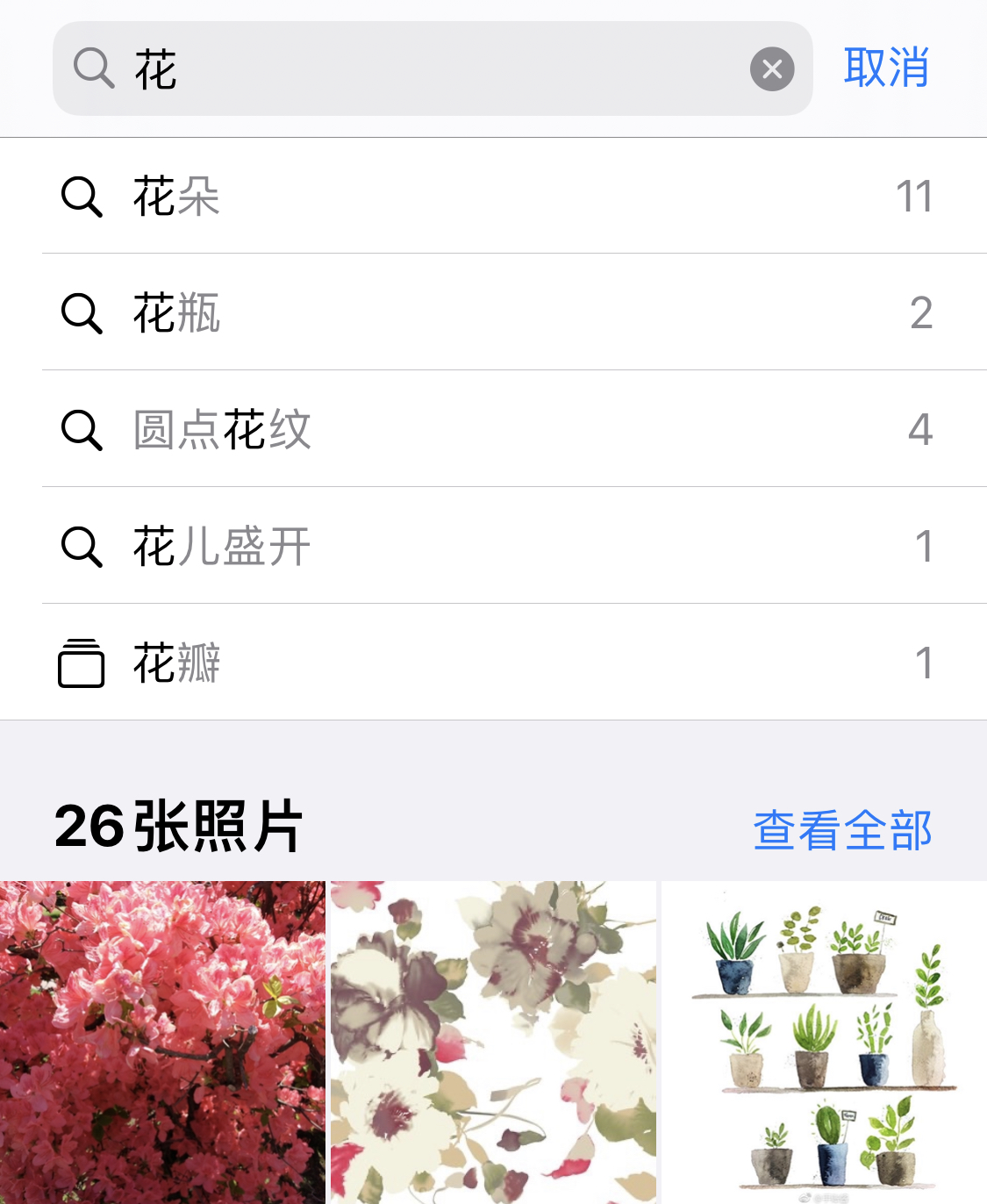 开化苹果手机维修分享iPhone 小技巧 