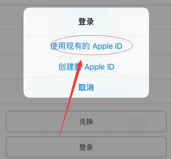 开化苹果手机维修分享两台iPhone设备可以同时登录一个Apple ID吗 
