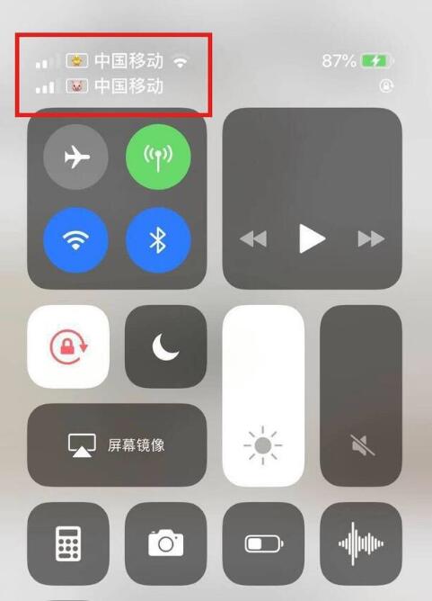 开化苹果手机维修分享为 iPhone 12 双卡设置标签 